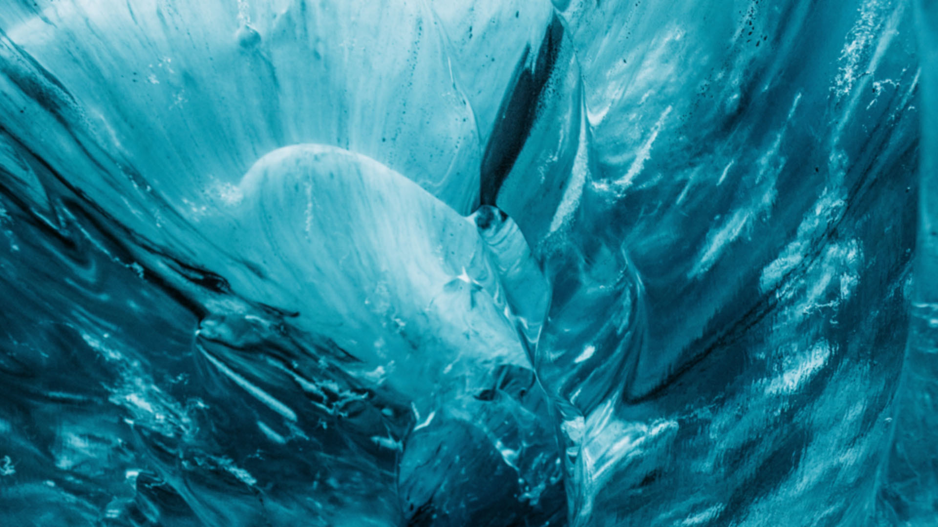 Nahaufnahme eines Delfins in einem blauen Eishöhlensystem mit geschwungenen Eiskristallen und tiefblauen Farbtönen.